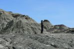 PICTURES/Bisti Badlands in De-Na-Zin Wilderness/t_Gray & Black5.JPG